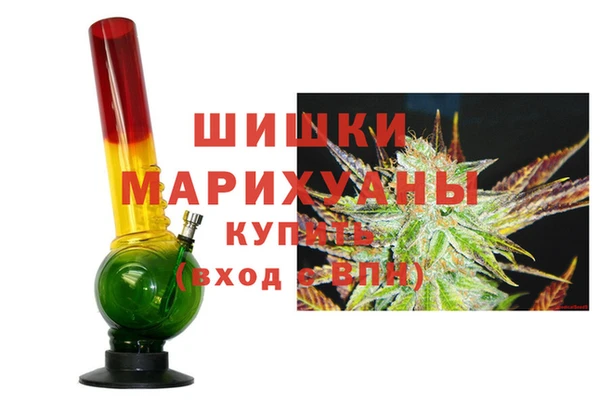 прущие грибы Абдулино