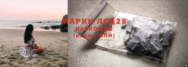 прущие грибы Абдулино