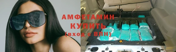 крисы Абаза
