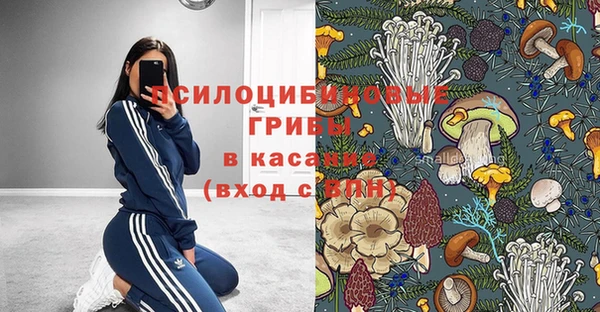 прущие грибы Абдулино