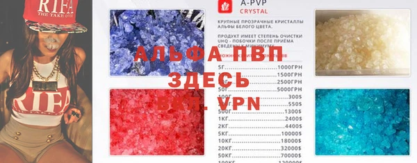 индика Саяногорск