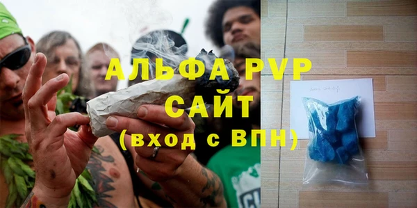 крисы Абаза