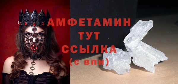 крисы Абаза