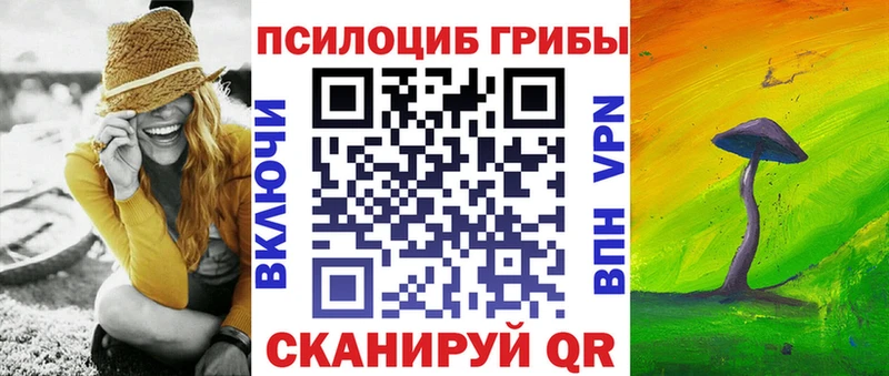 blacksprut ссылка Ишимбай Галлюциногенные грибы Psilocybe